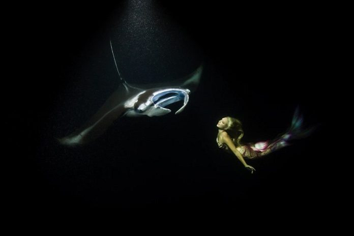 foto: Shawn Heinrichs