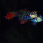 p1aa8s4h9jalv1gi1nuq1e3mq465