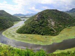 Skadarsko jezero / FOTO: Damir Zurub