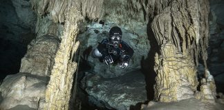 Cenote / FOTO: Damir Zurub
