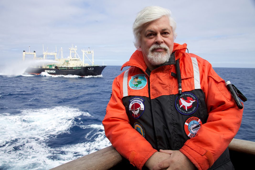 Paul Watson / Photo by Barbara Veiga
