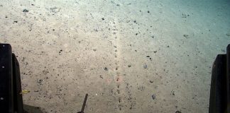 FOTO: NOAA Ocean Exploration