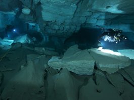 Orda / FOTO: Tomasz Stachura