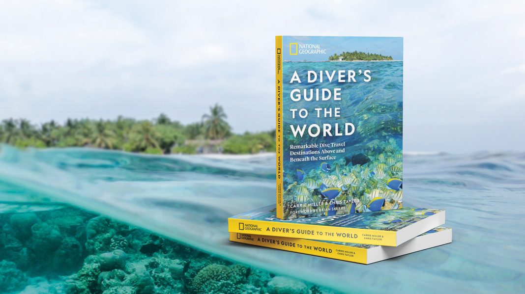 A diver's guide to the world