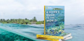 A diver's guide to the world