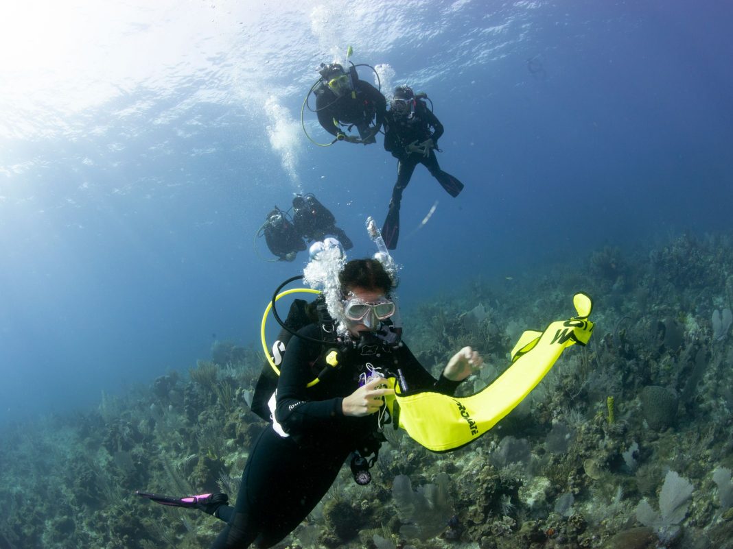 Dive Surface Marker Buoys