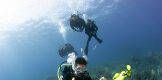 Dive Surface Marker Buoys