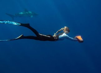 Geneinno S1 Pro Geneinno S1 Pro