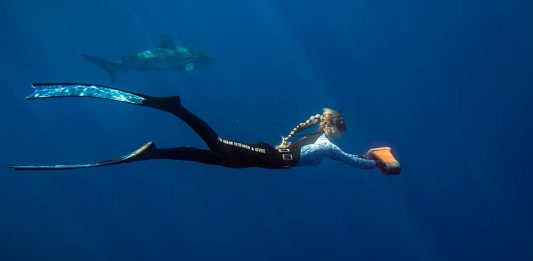 Geneinno S1 Pro Geneinno S1 Pro