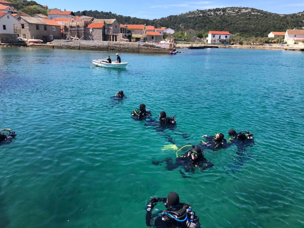 FOTO: Argonauta