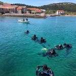 FOTO: Argonauta