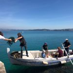 FOTO: Argonauta