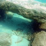 Ronioci pronašli grobnice u jezeru Van u Turskoj