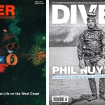 Diver