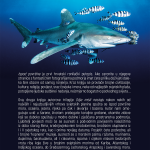 ispod_povrsine_back_cover