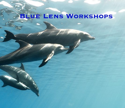 Blue Lens Workshops
