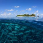 Sipadan