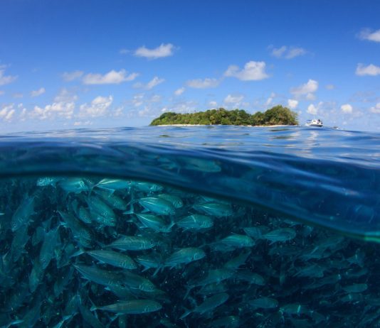 Sipadan