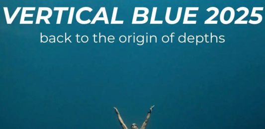 Vertical Blue 2025