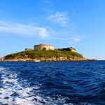 Mamula