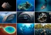 a grid of 9 ocean related images
