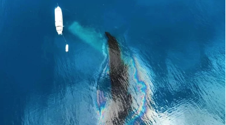 FOTO: Chuuk State Governor’s Office