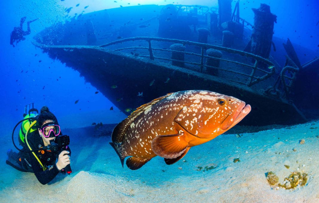 Madeira Underwater 2025