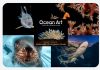 Proglašeni pobjednici natjecanja Ocean Art 2025