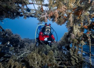 Ronjenje nakon ozljede