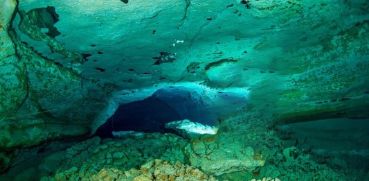 Rezultati istrage o smrti ronioca u špilji Tank Cave