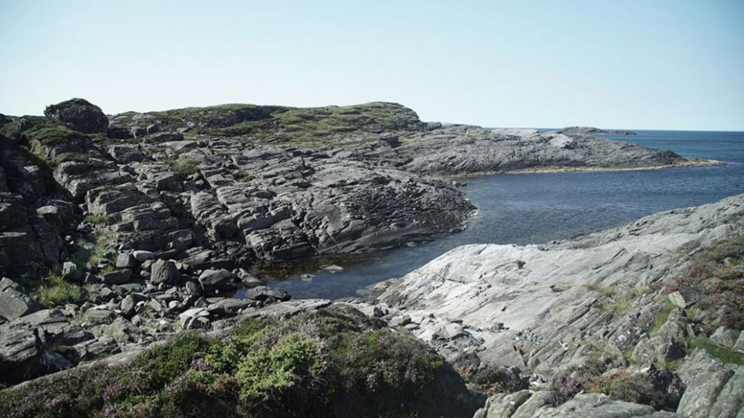 Jesu li srednovjekovni Vikinzi lovili kitove?