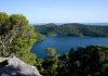 Mljet