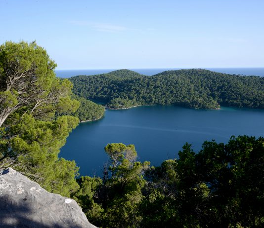 Mljet