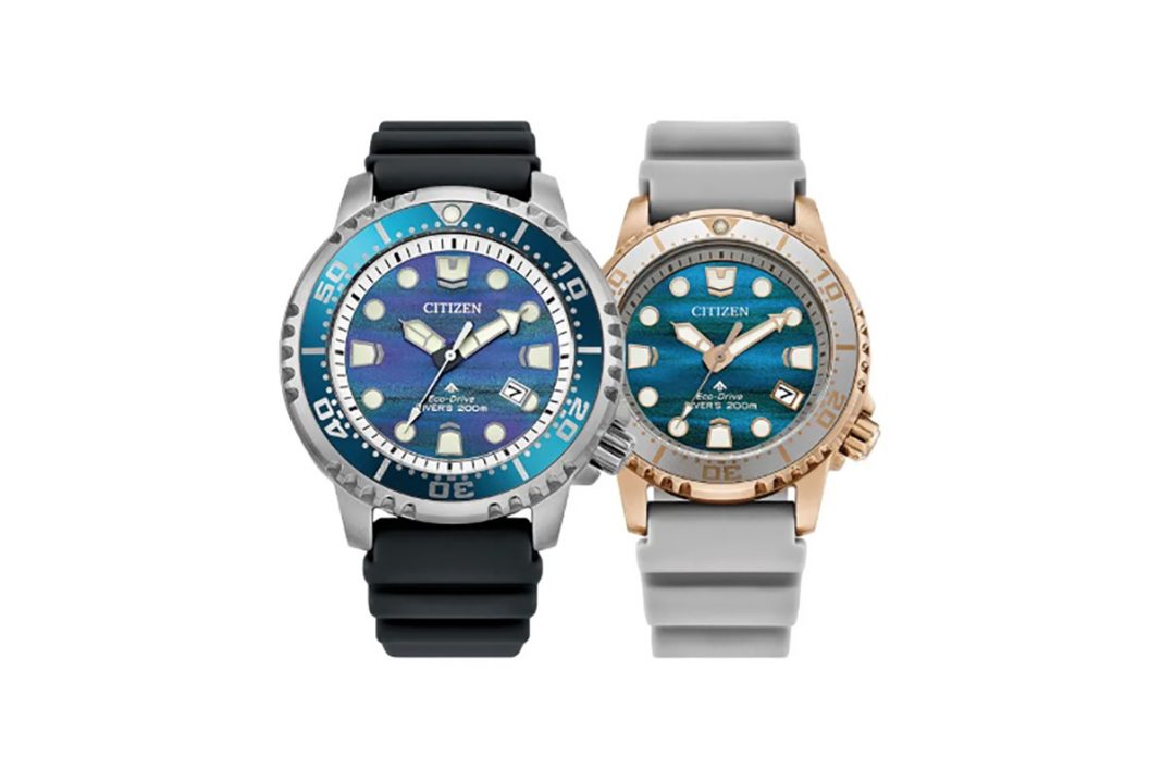 Citizen Promaster Dive Duo