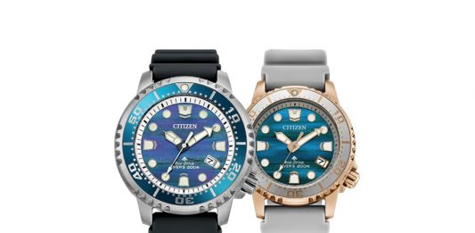 Citizen Promaster Dive Duo