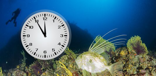Morima i oceanima istječe vrijeme