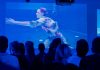 ‘Marine Turtles’ osvojio Grand Prix Neum Underwater Film Festivala 2026.