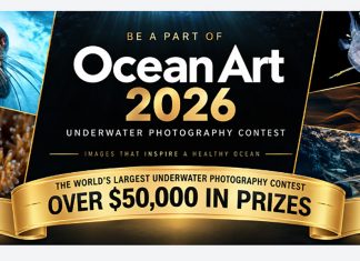 Otvorene prijave za Ocean Art 2026