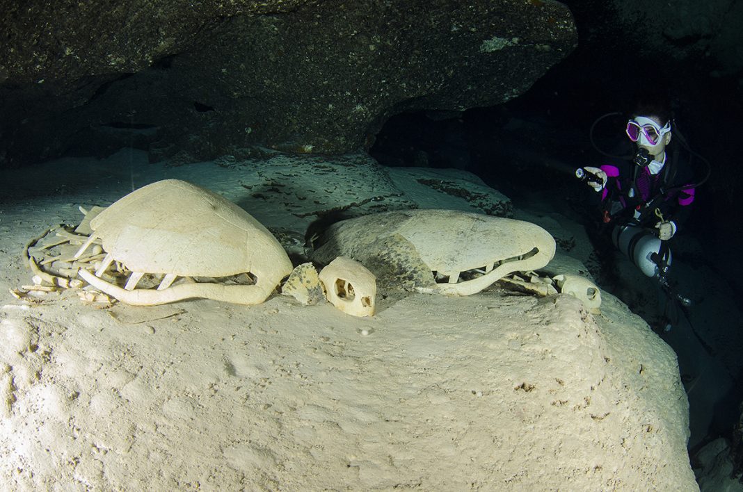 Turtle Tomb (Grobnica kornjača) / FOTO: Goran Butajla