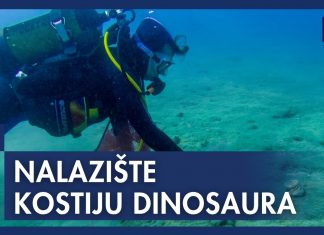Iz podmorja u Istri vade kosti dinosaura stare 130 milijuna godina