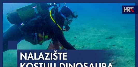 Iz podmorja u Istri vade kosti dinosaura stare 130 milijuna godina